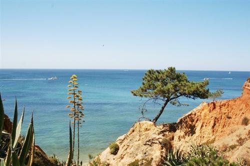 Apartamento Almerinda Albufeira Bagian luar foto
